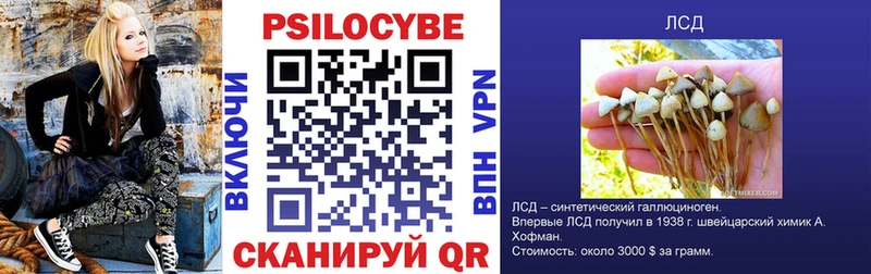 Купить  Красногорск  Псилоцибиновые грибы Psilocybine cubensis 